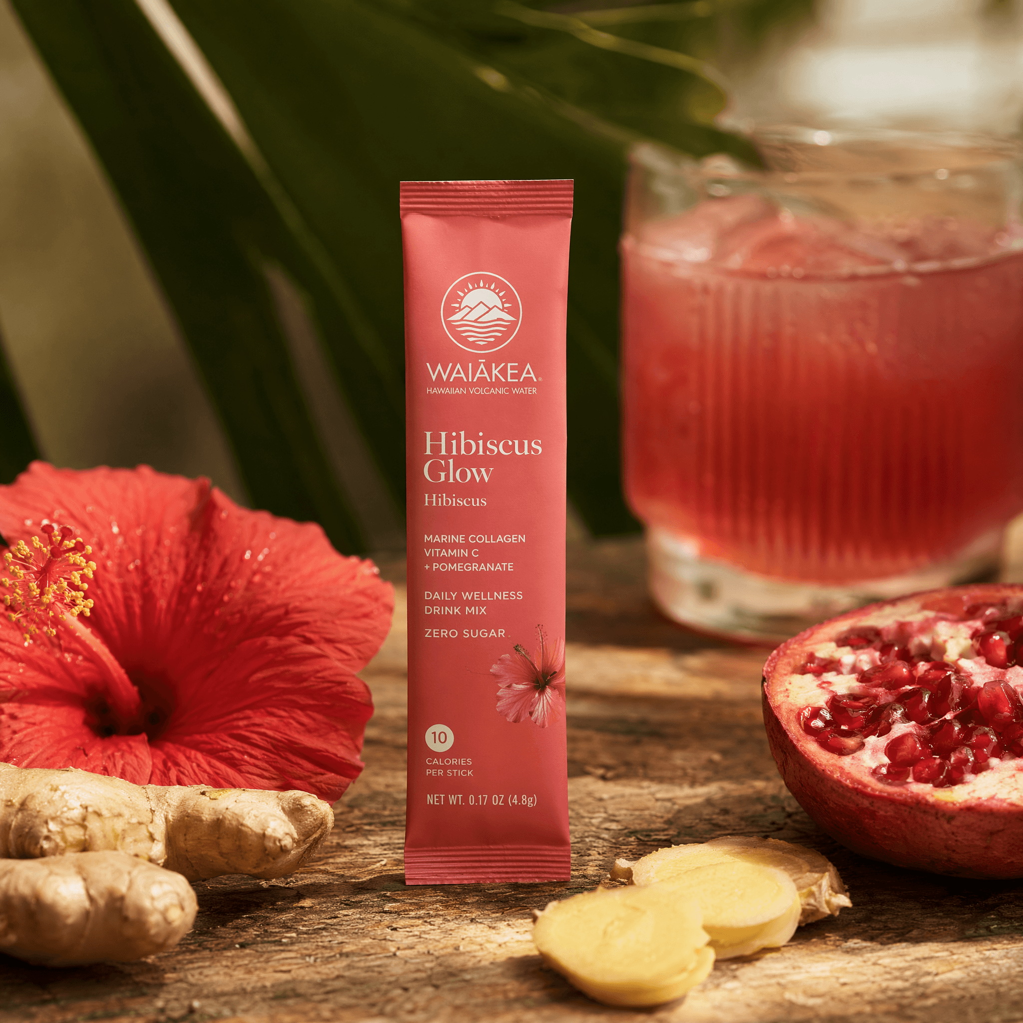 Hibiscus Glow
